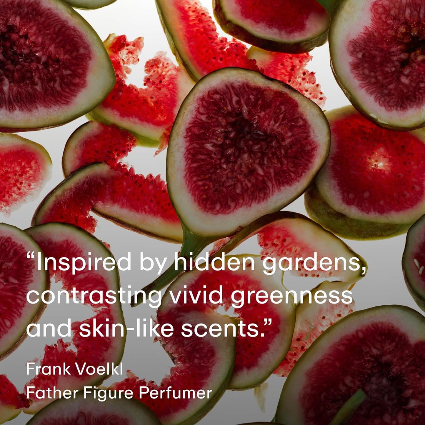 PHLUR Father Figure Natural Deodorant - 48 Hour Odor Protection Baking Soda Free & Aluminum Free Deodorant - Salicylic Acid, Arrowroot Powder & Tamanu Oil - No Residue or Irritation