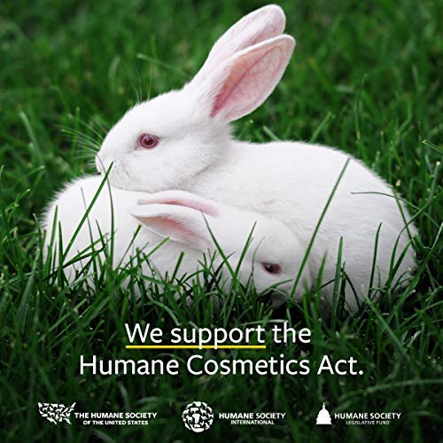 US Organic 100% Pure Spearmint Essential Oil - USDA Certified Organic, Steam Distilled - W/Euro droppers (More Size Variations Available) (10 ml / .33 fl oz)