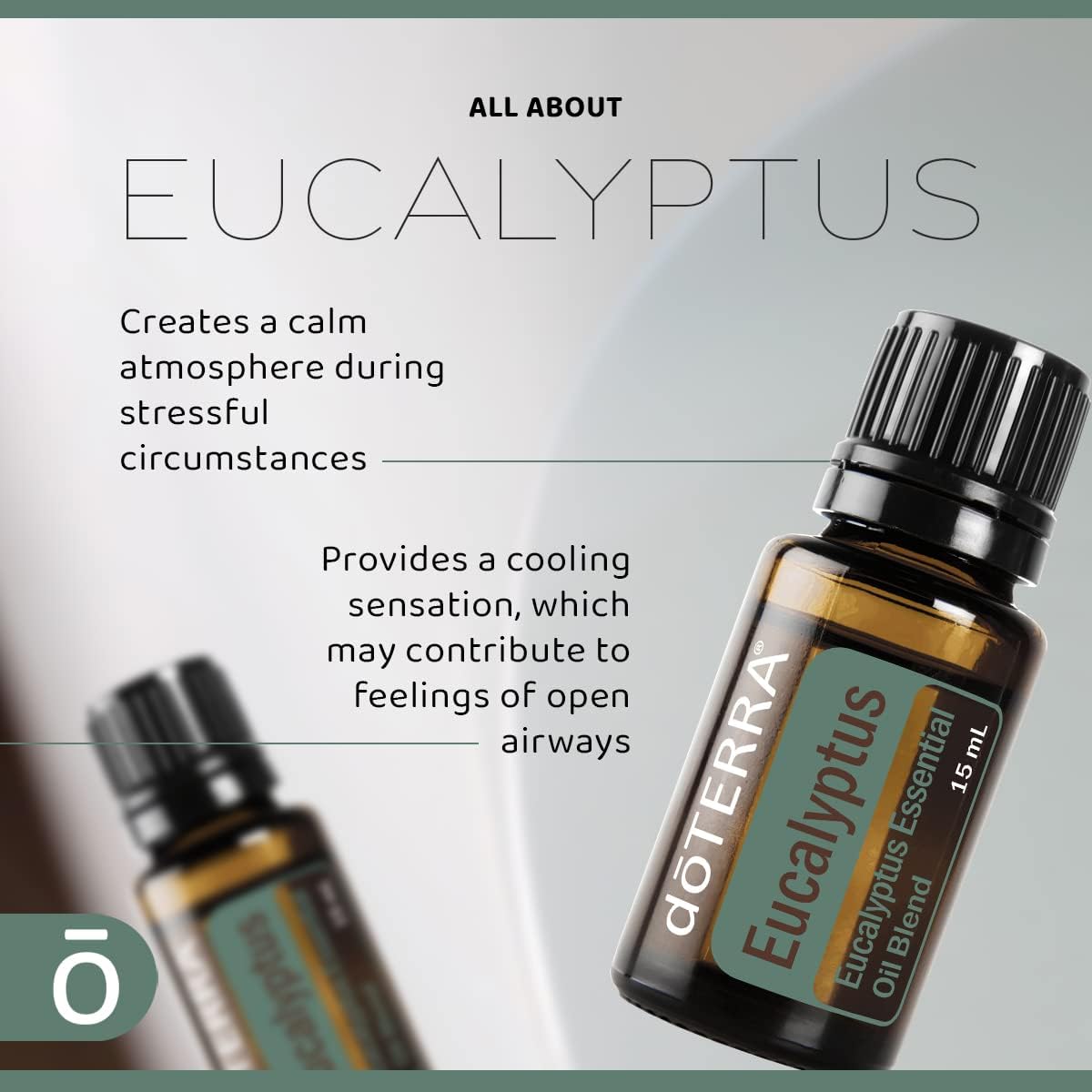 doTERRA Eucalyptus Radiata Essential Oil - 15 mL (2 Pack)