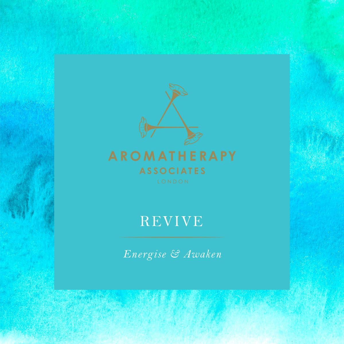 Aera Mini Revive Essential Oil Aromatherapy Home Fragrance Scent Refill - Notes of Juniper Berry, Rosemary and Grapefruit - Works with Aera Mini Diffuser, Mini Scent Capsule Size