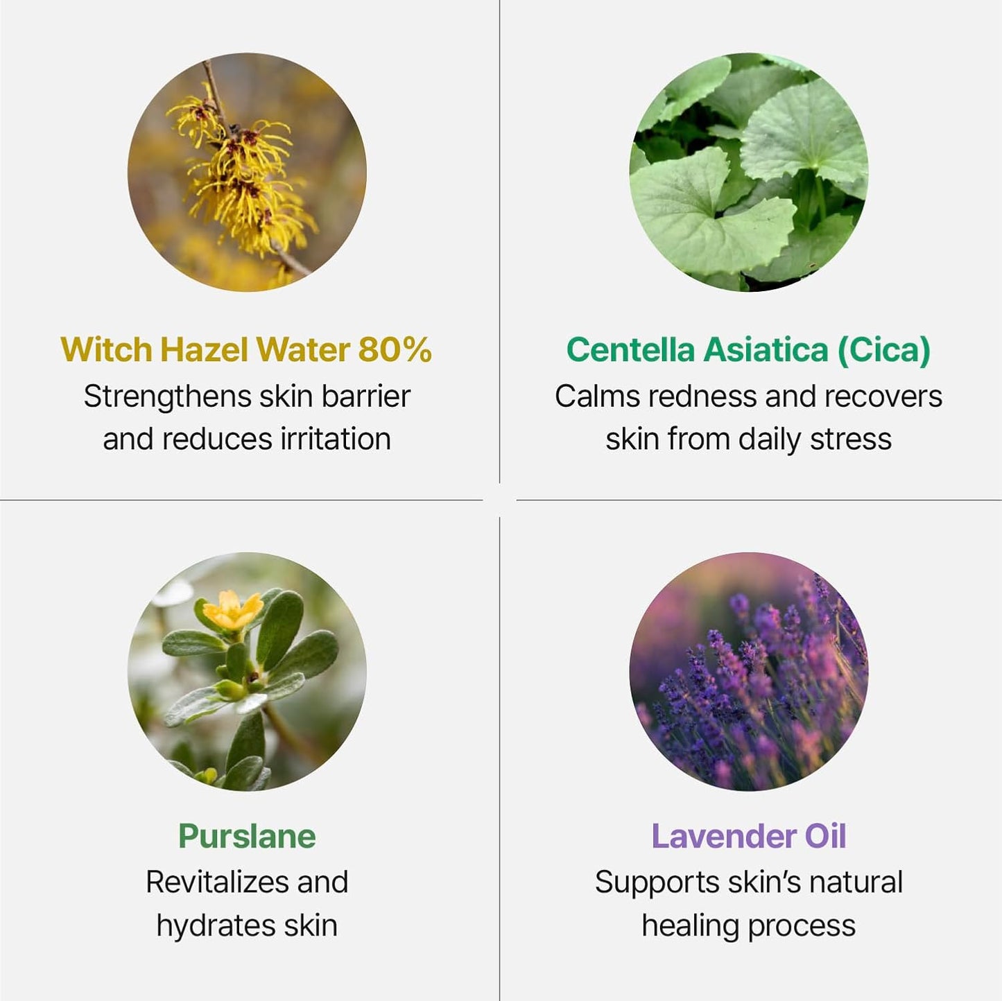 Silver Frost Mist, Refill - Facial Barrier Toner Spray with 80% Witch Hazel Water, Cica for Skin Barrier Repair, Recovery for Sensitive Skin, Dewy Hydration, Korean Skin Care (3.38 fl oz)