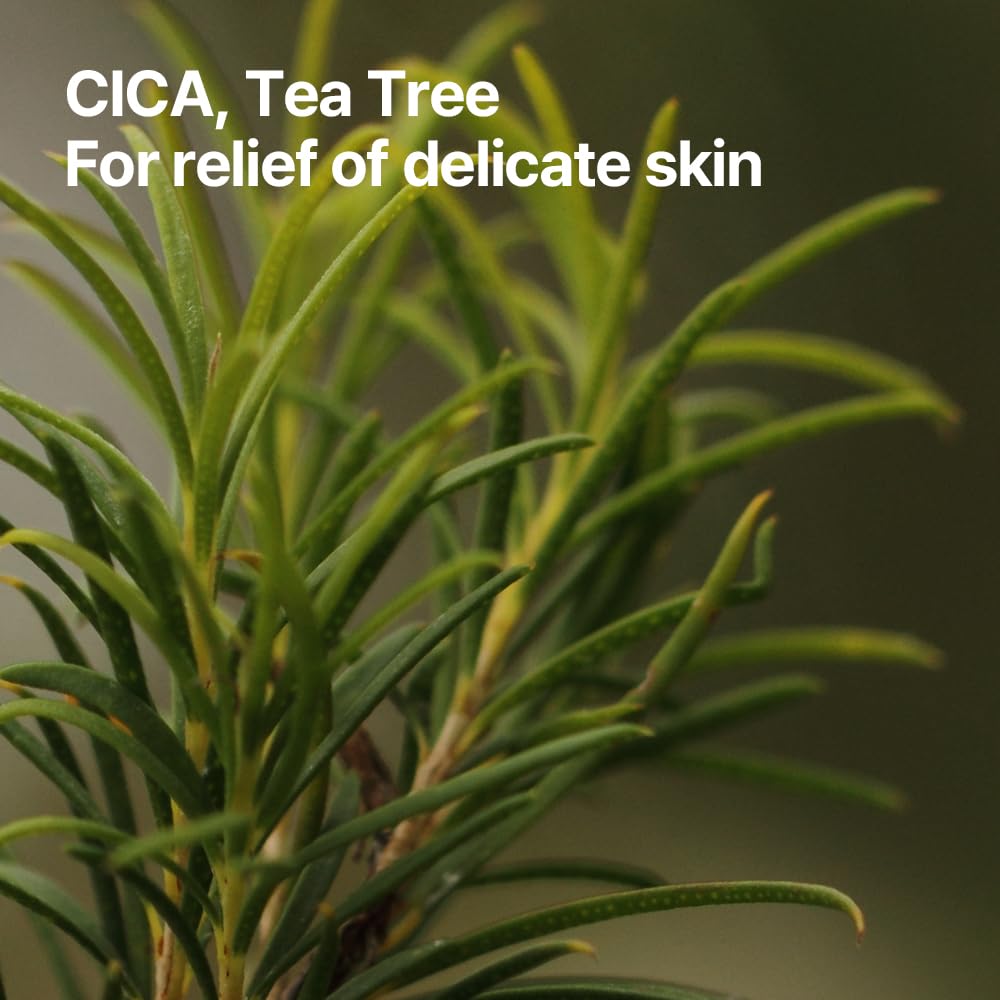 Pyunkang Yul PKY Ceramide Calming Mask Pack 10 PCS - Korean Face Mask Skin Care Products, Beauty Face Mask Containing Panthenol, Hyaluronic Acid, Tea Tree, Shea Butter, Squalene and Cica