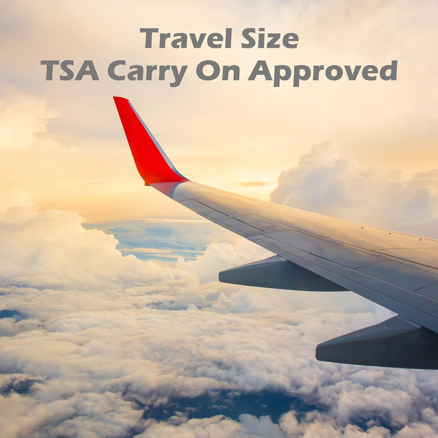 TailaiMei 12 Pieces Travel Pouches for Toiletries, TSA Approved Portable Travel Size, Refillable Stand Up Pouch for Shampoo/Conditioner/Lotion (1.7 &3.4 oz)