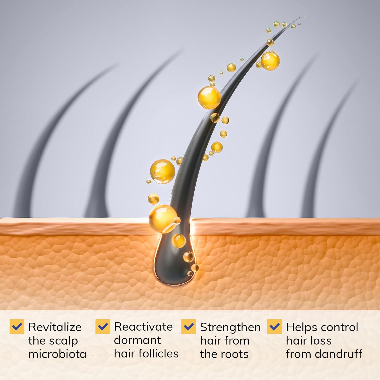 Seborrheic Dermatitis & Folliculitis Dandruff Shampoo: Anti Fungal Medicated Shampoo for Healthy Scalp with Selenium Sulfide & Botanical Extracts - Flakes Itchy and Oily Scalp Relief Stop Hair Loss