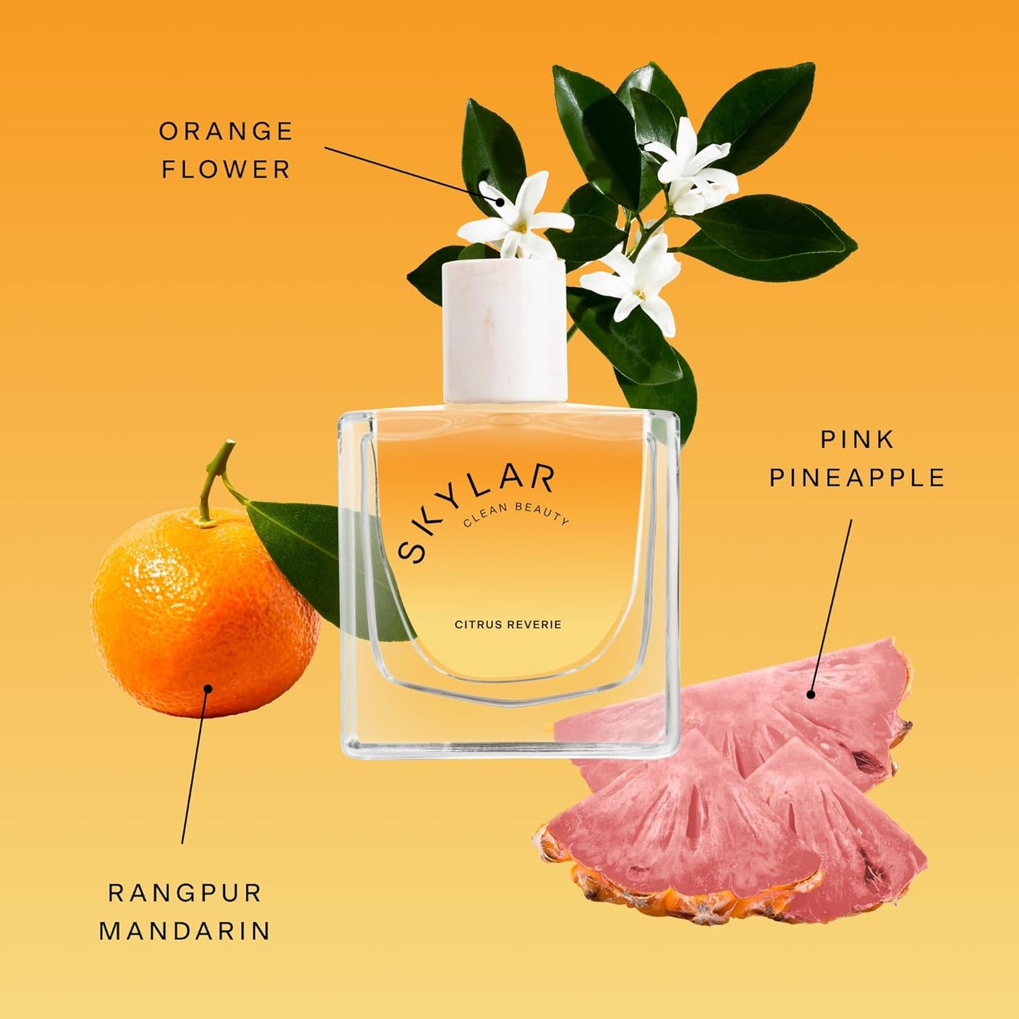 Skylar New Citrus Reverie Eau de Parfum-Hypoallergenic Clean Perfume for Women & Men, Vegan, Safe for Sensitive Skin-Fruity Floral Scents, Madarin, Orange, Pinapple-50mL /1.70 Fl Oz