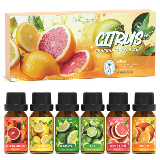 Citrus Essential Oils Set, Fragrance Oil Set for Diffuser, Scent Diffuser Oil for Candle Making- Blood Orange, Lemon, Bergamot, Lime, Grapefruit, Citrus