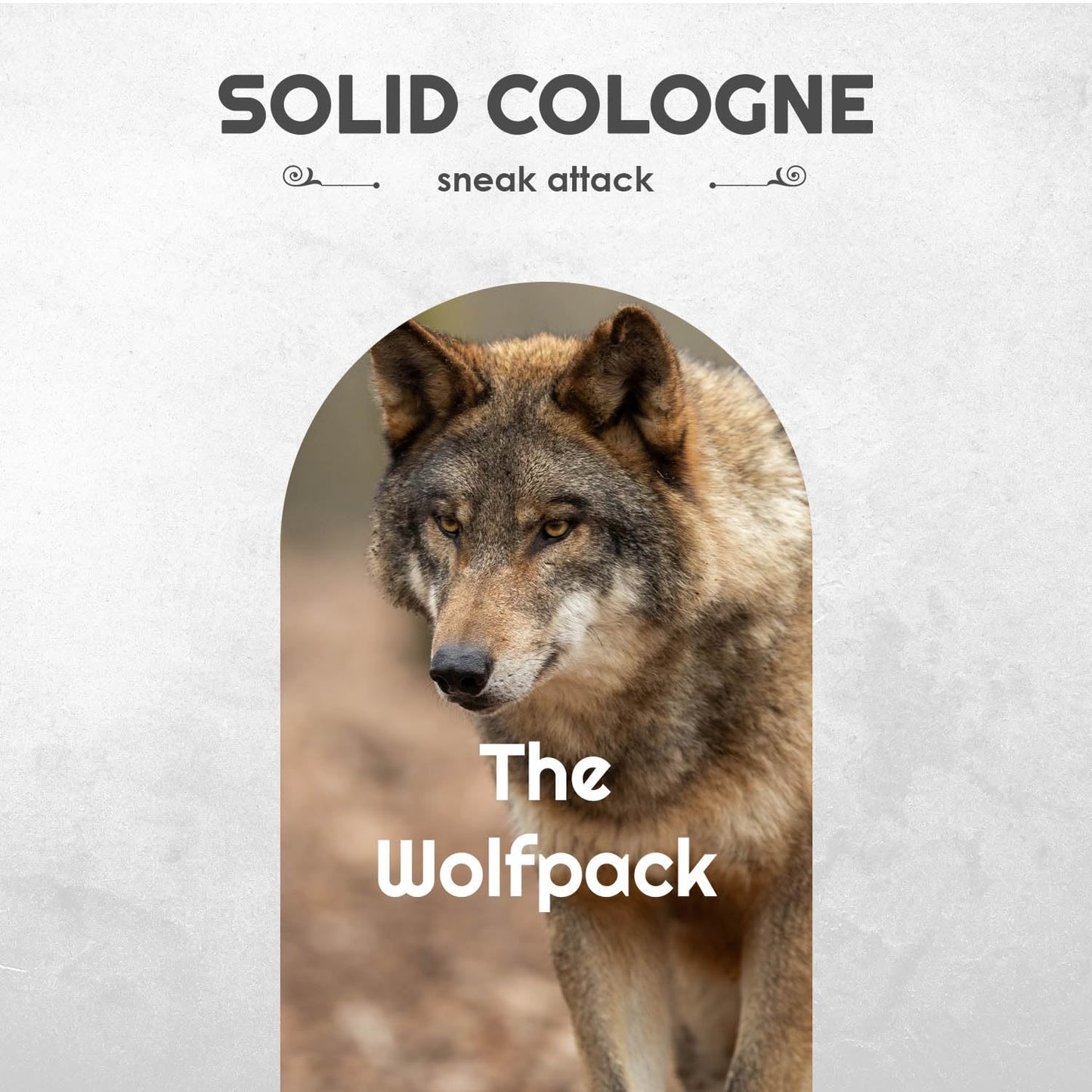 Solid Cologne Set with Bay Rum Solid Cologne, Bourbon Solid Cologne, Woodsman, and Life of the Party Solid Cologne - (Wolfpack Solid Cologne Sampler - 4 Pack - 0.75 oz each)