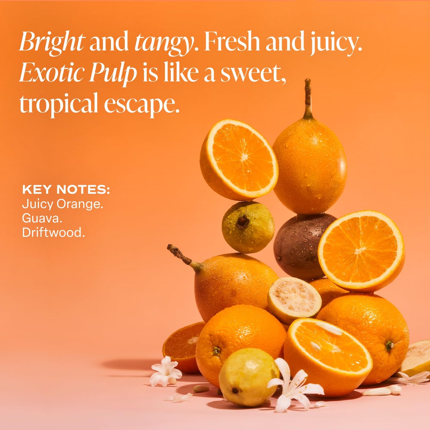 Saltair Multi-Lipid Body Butter - Rich, Nourishing Exotic Pulp Hydrating Body Cream with Ceramide Complex, Coconut Oil, Shea Butter, and Sea Buckthorn. Deep Moisturizing Dry Skin Care. 10oz Jar