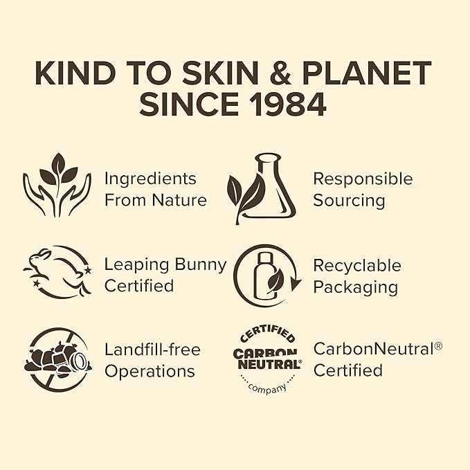 Burt's Bees All Weather SPF 15 Lip Balm, Water-Resistant Lip Moisturizer, Tint-Free, Natural Conditioning Lip Treatment, 1 Tube, 0.15 oz.