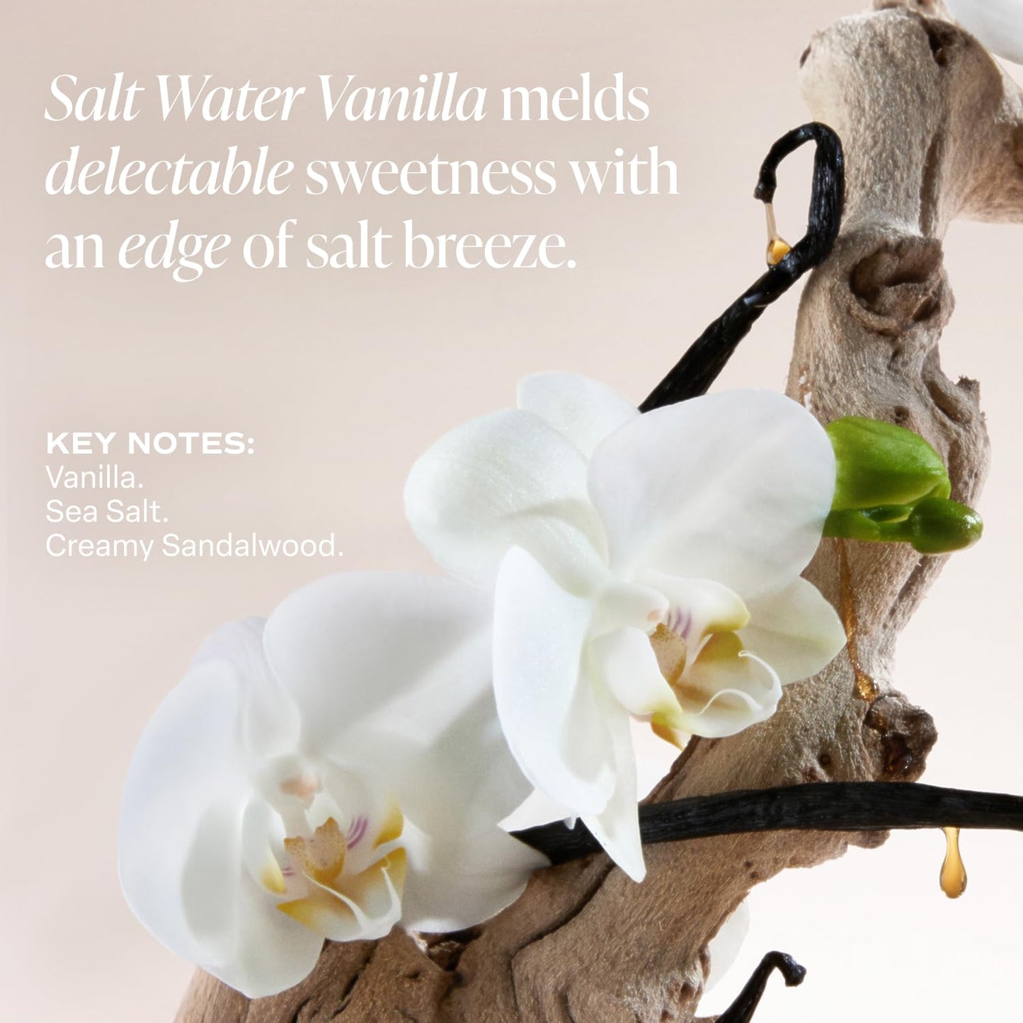 Saltair Multi-Lipid Body Butter - Rich, Nourishing Salt Water Vanilla Hydrating Body Cream with Ceramide Complex, Coconut Oil, and Shea Butter. Deep Moisturizing Dry Skin Care. 10oz Jar