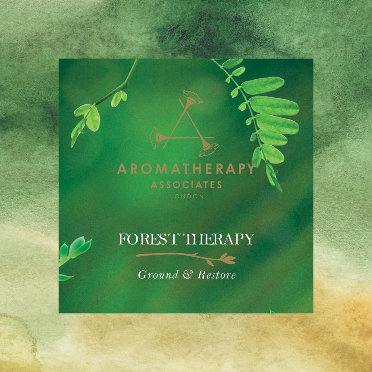 Aera Mini Forest Therapy Essential Oil Aromatherapy Home Fragrance Scent Refill - Notes of Pink Pepper, Cypress and Ho Woods - Works with Aera Mini Diffuser, Mini Scent Capsule Size