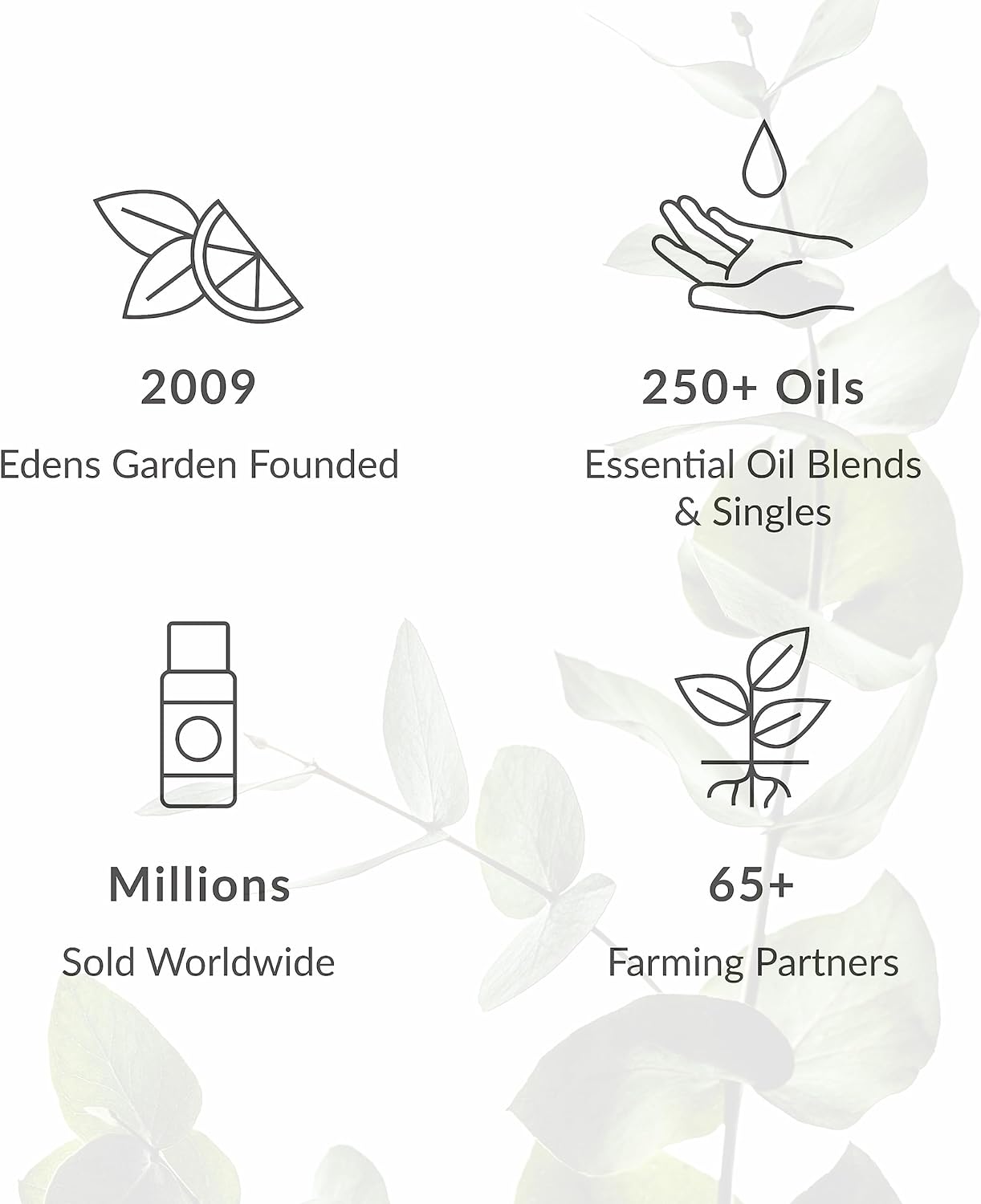 Edens Garden Conquer Cravings Essential Oil Roll-On Blend- 100% Pure Premium Grade, Natural, Therapeutic, Aromatherapy, Kid & Skin Safe, The Best for Health, Wellness Pre-Diluted 10 ml (.33 fl oz)