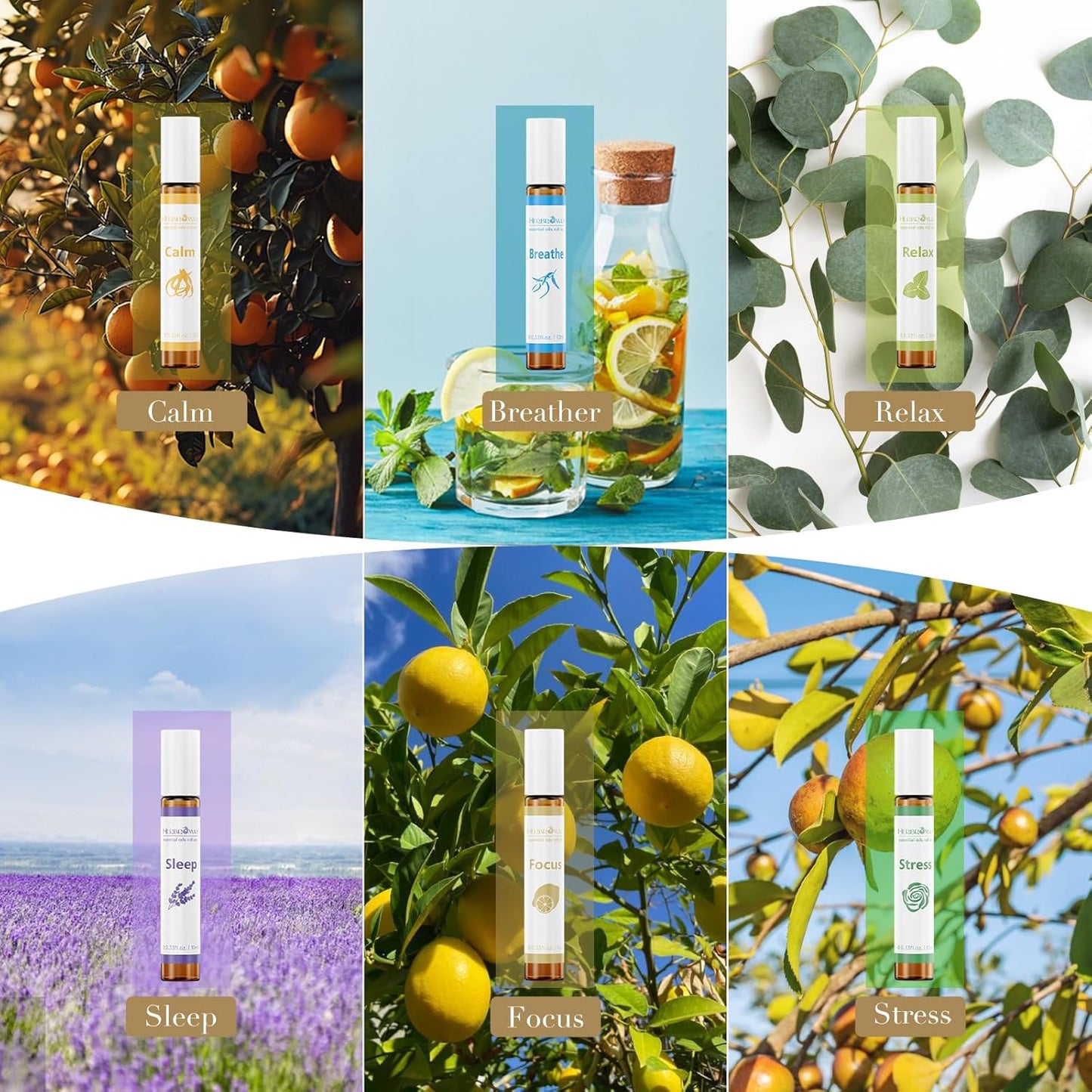 Aromatherapy Essential Oil Roll On Blend Relaxation Gift for Women, Natural and Pure Essentail Oils with Travel Size Roller Ball Bottle (Calm, 1)