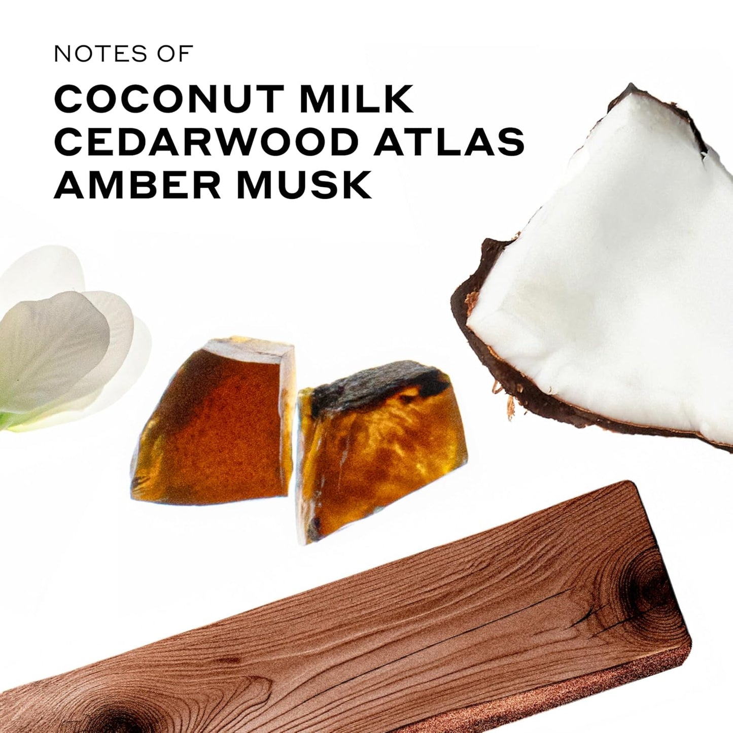 Ellis Brooklyn Milk Wood Perfume Oil Roll-On for Women – Sandalwood & Amber Musk Perfume Oil - Notes of Coconut Milk, Freesia & Bergamot– Long Lasting Fragrance, Travel-Friendly Rollerball, 15ml