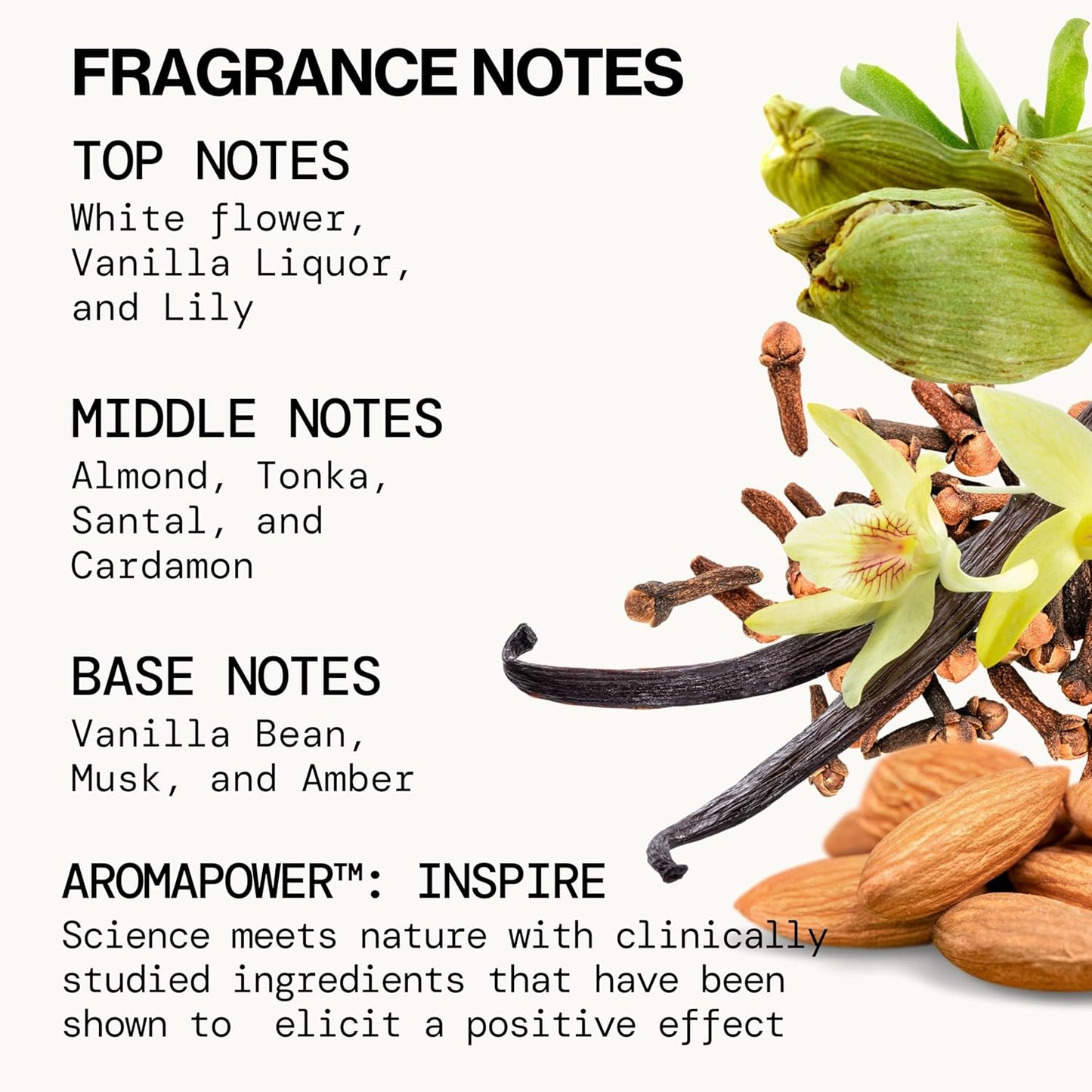 Pacifica Silver Moon Vanilla Almond Spice Perfume – Warm Gourmand Clean Fragrance for Women, 2 fl oz (Vegan & Cruelty-Free)