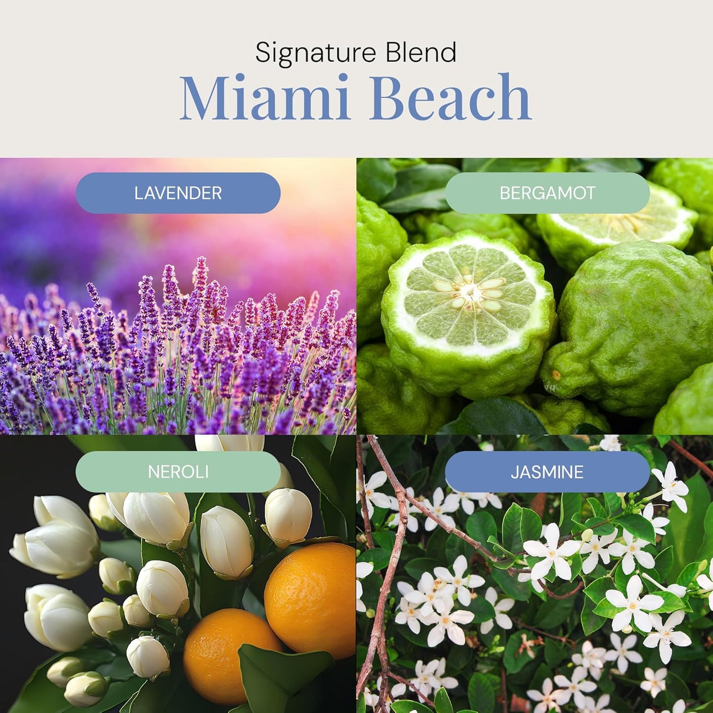 Miami Beach Aroma Oil, Essential Oils Blend for Diffusers & Scent Machines, Fresh Cologne Scent with Citrus & Musk Notes, Aromatherapy, Cold Air Diffuser Compatible, 100 mL