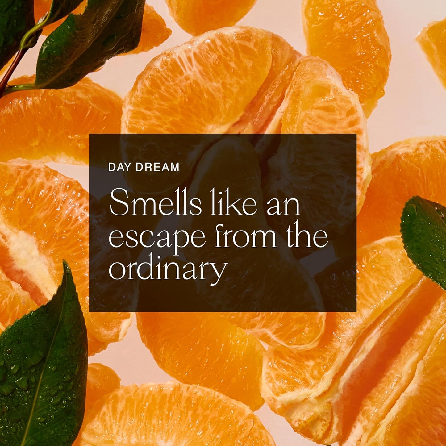 Each & Every Aluminum Free Deodorant for Women & Men, Citrus & Vetiver - All Natural Deodorant for Sensitive Skin, EWG Verified - Clean, Baking Soda-Free, Plant-Based Fragrance - 2.5oz, 2 Pack