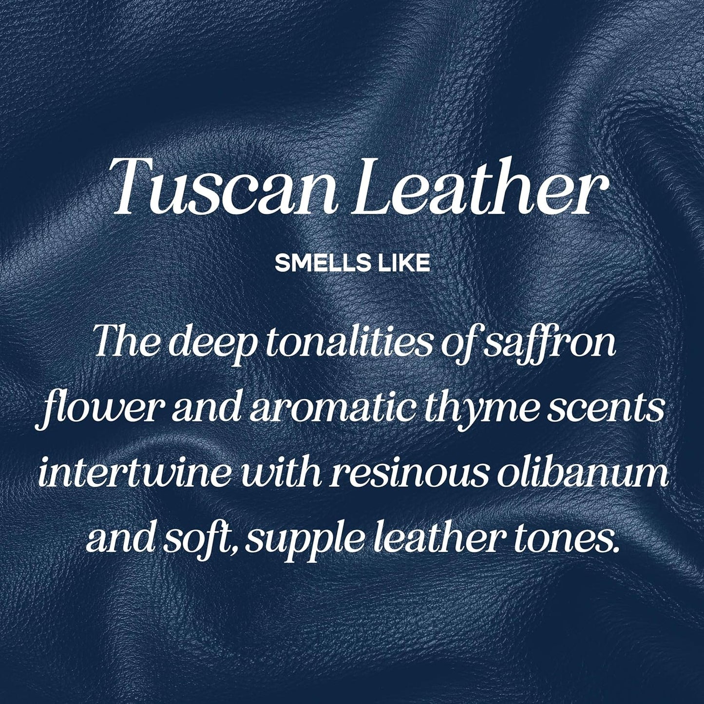 CANDECraftCo Premium Fragrance Oil – Diffuser Oils Fragrances Scented for Home, Candle Soap Making Supplies, Aromatherapy Blends for House (0.34 Fl Oz) (2-Pack, Tuscan Leather)